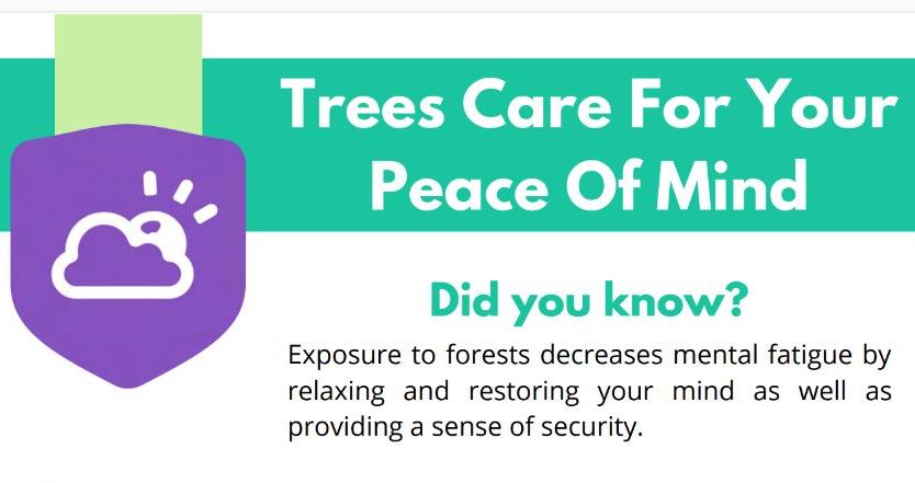 Trees Care for Your Peace of Mind